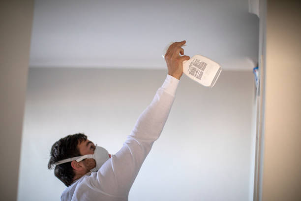 Best Mold Cleaning Services  in Holstein, IA