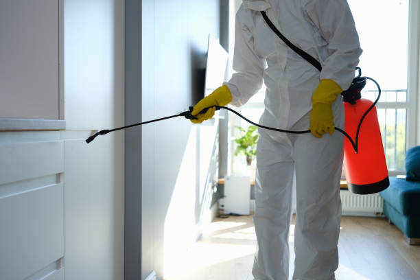 Best Professional Mold Removal  in Holstein, IA