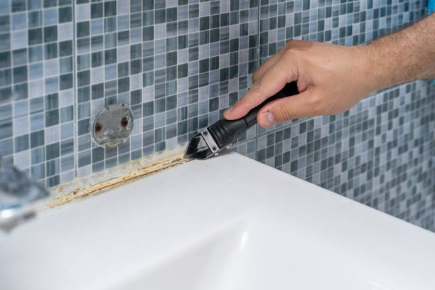 Best Office Mold Removal Services  in Holstein, IA
